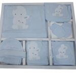 Set Bleu Maternitate Baiat